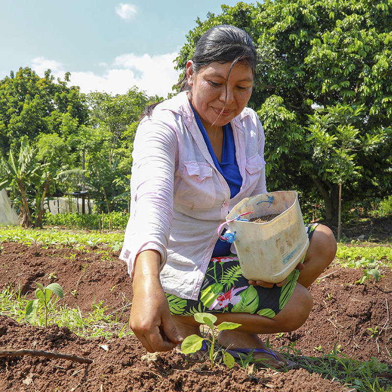 Fomentando la agricultura resiliente